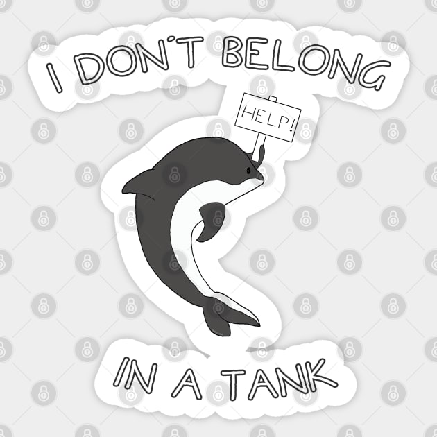 I Don't Belong In A Tank Orca Sticker by Danielle